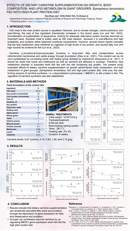poster