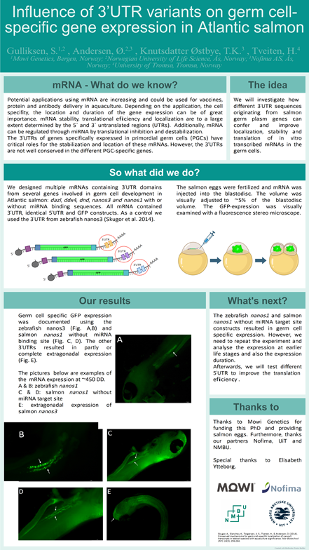 poster