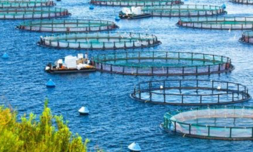 Aquaculture 2019 - New Orleans | World Aquaculture Society | World ...