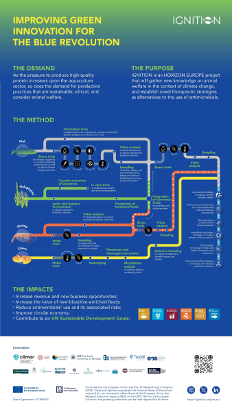 example ePoster