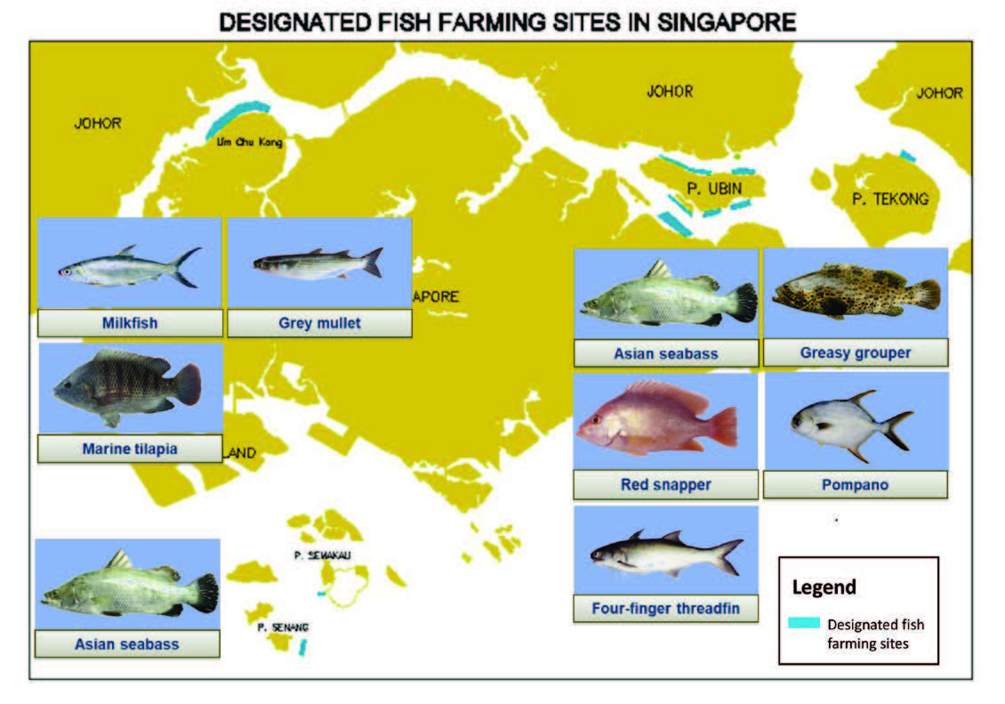 Why freshwater fish farms could increase global food security